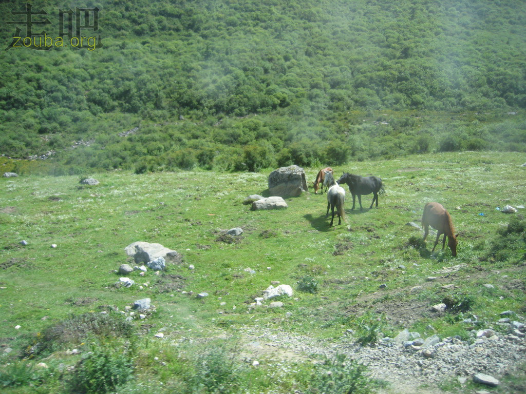 HuangLong